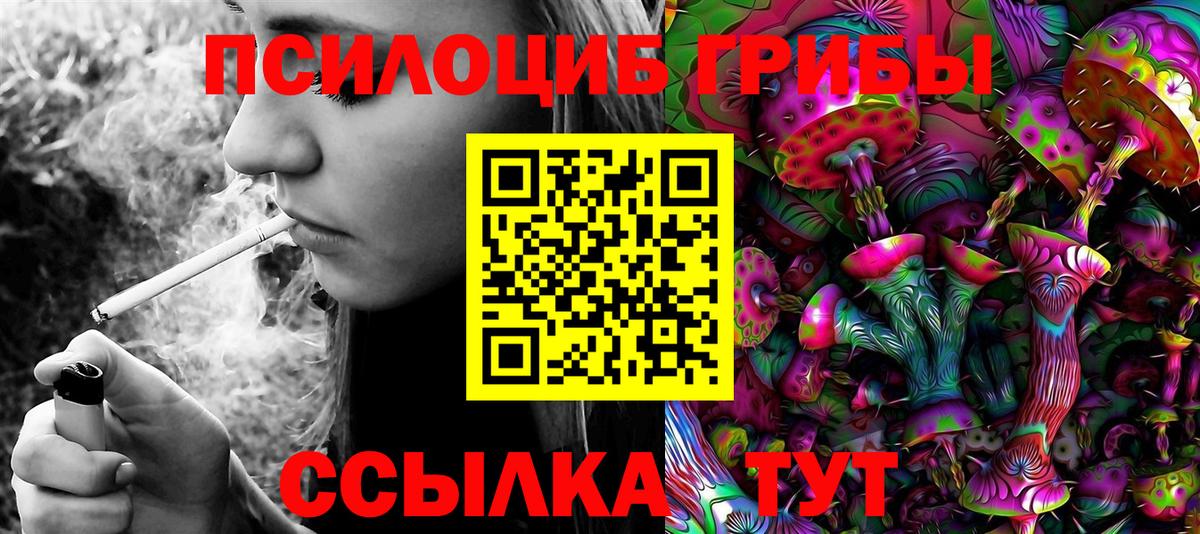 Галлюциногенные грибы Cubensis Щёлково