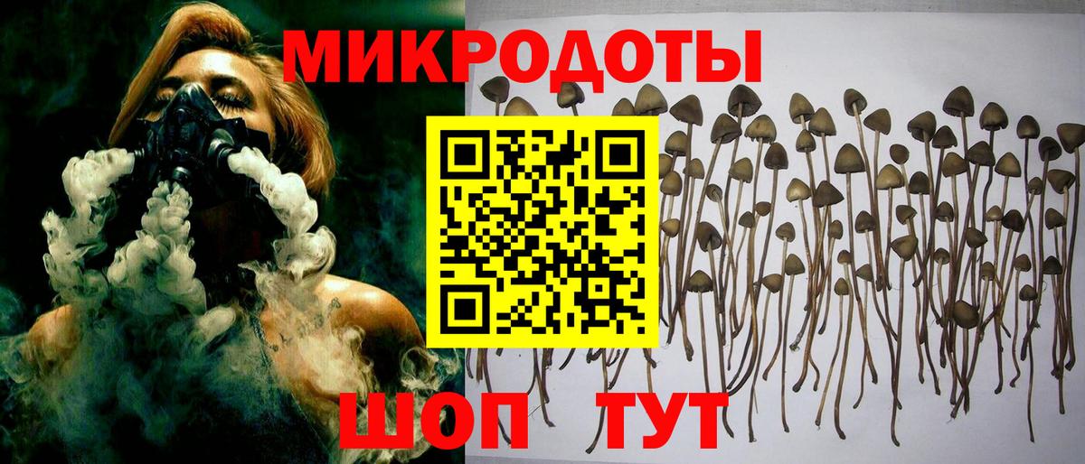 Псилоцибиновые грибы MAGIC MUSHROOMS  Вход с VPN  продажа наркотиков  Галлюциногенные грибы ЛСД  Щёлково 